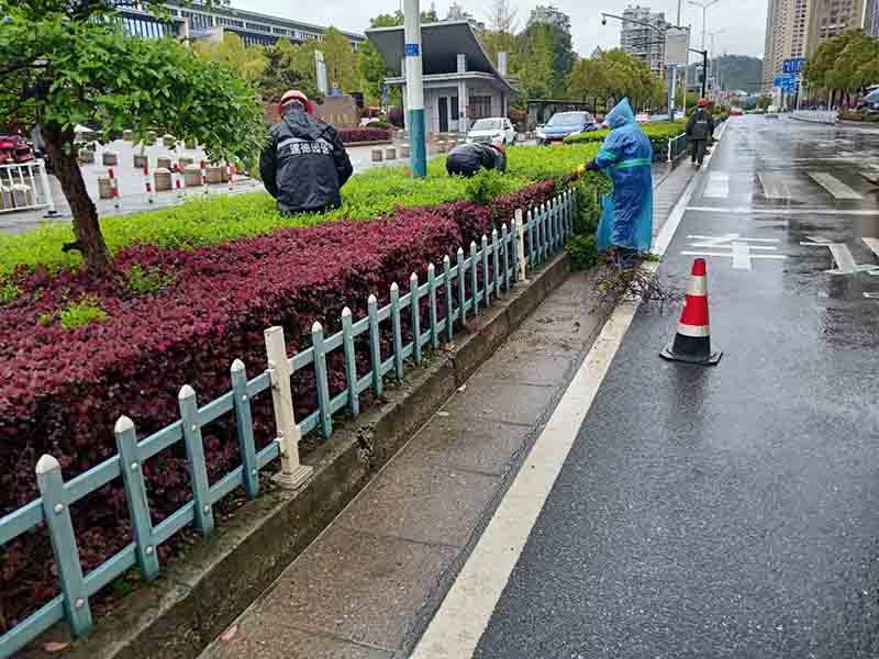 綠化養護